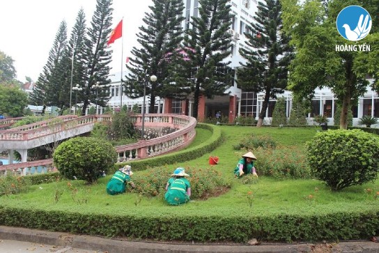 Công ty dọn vệ sinh chuyên nghiệp 5