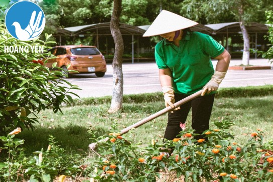 Công ty vệ sinh trường học 4