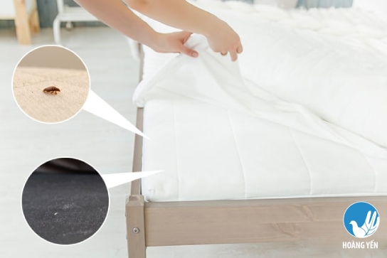 Dịch vụ giặt chăn ga gối đệm 1