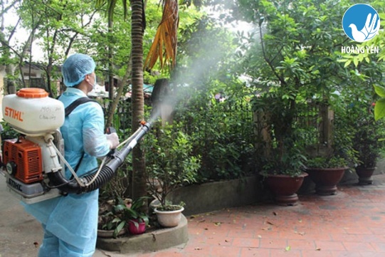 Nên phun thuốc muỗi vào mùa nào 2
