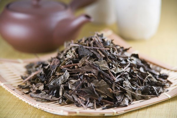 diệt muỗi