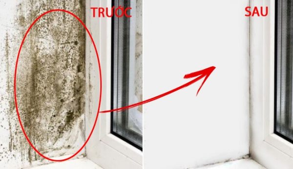 làm sạch tường nhà bị mốc