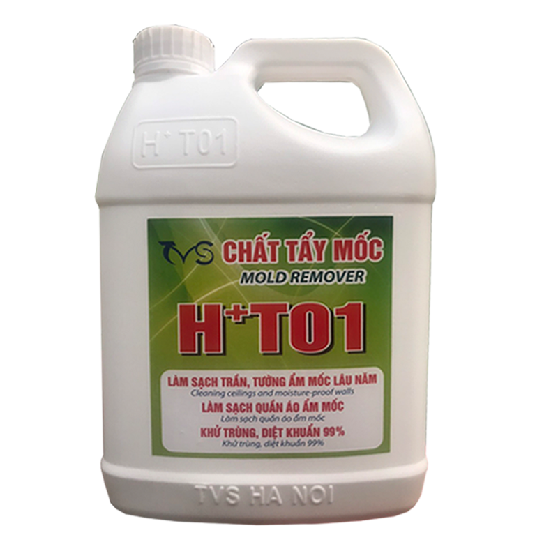 làm sạch tường nhà bị mốc