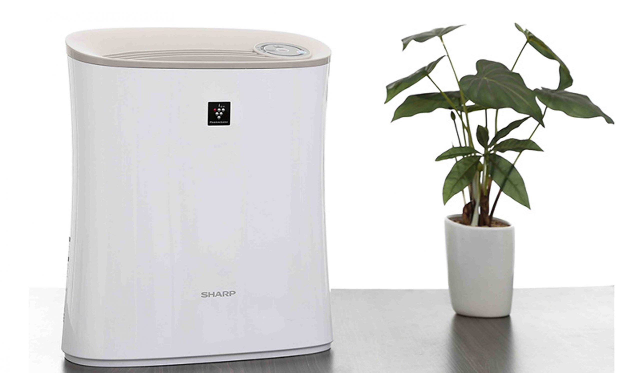 làm sạch tường bị mốc
