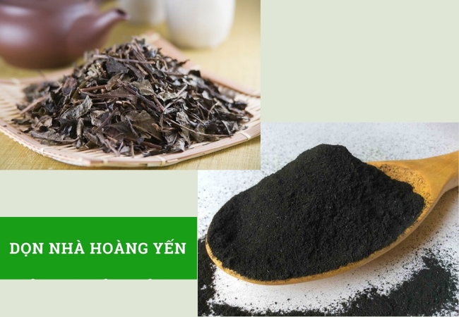 cách khử mùi sơn tường mới
