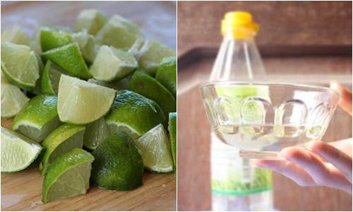 cách diệt mỗi ăn gỗ