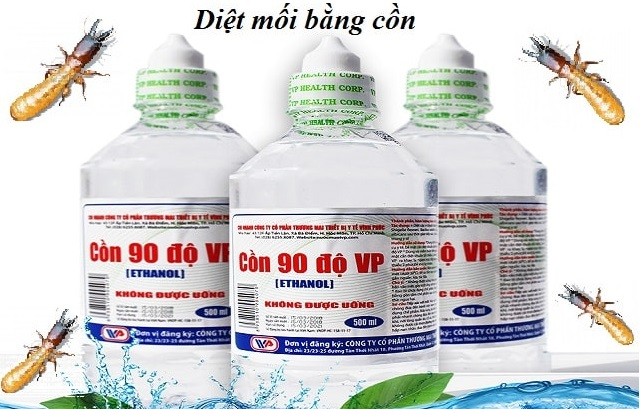 Diệt mối bằng cồn đơn giản, dễ dàng mà đem lại hiệu quả bất ngờ